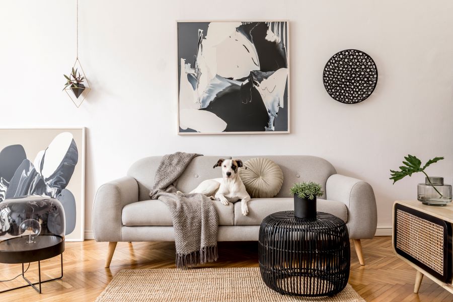 cosy living room, sofa, dog on sofa, abstract print on the wall, neutral tones, neutral decor